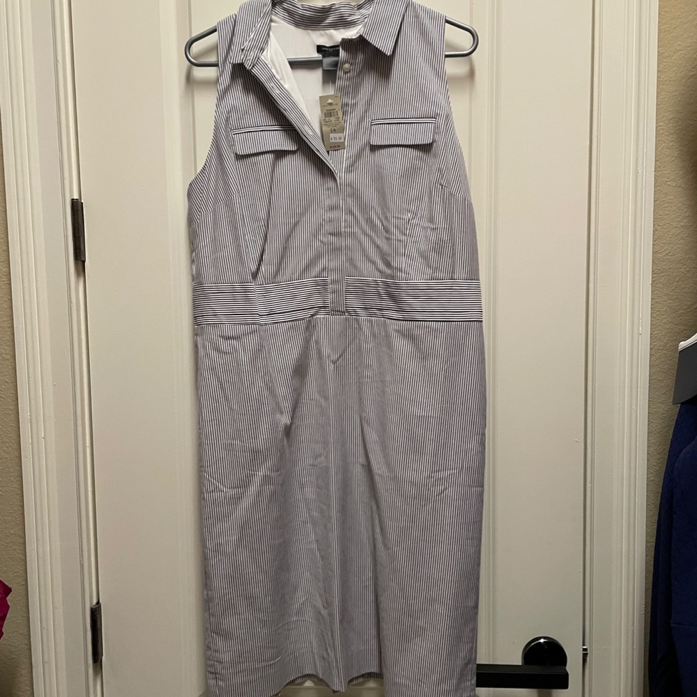 NWT Ann Taylor Striped Shirt Dress Size 14